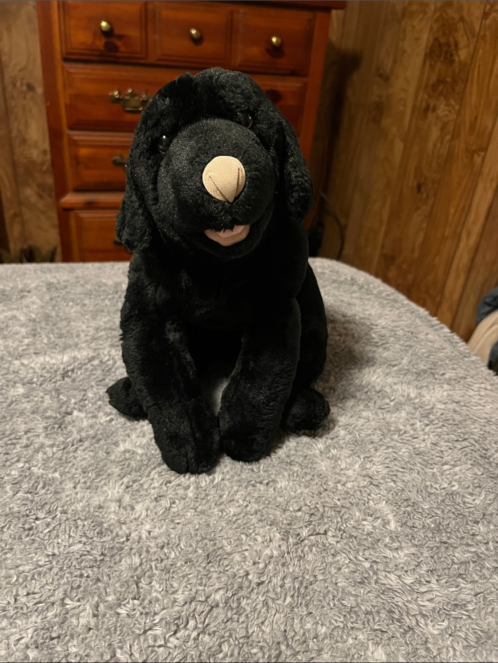 Boscov’s Plush Cute Black Dog Toy Soft Adorable Stuffed Animal 19 inches